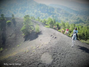 Etna tour a Cavallo