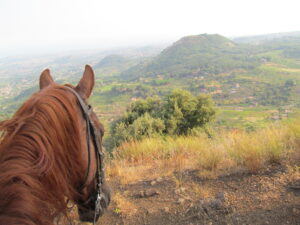 Etna tour a Cavallo