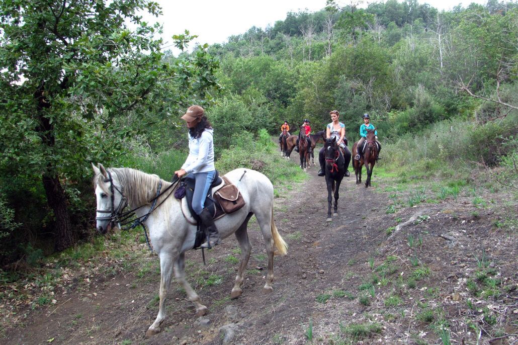 Escursione a cavallo boschi etna Shr - 03 Sicily Horse Riding