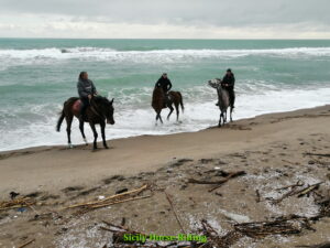 Passeggiata a cavallo in spiaggia Catania
